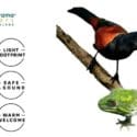 Brook Waimārama Sanctuary Receives Gold Qualmark Award