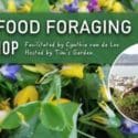Wild Food Foraging Workshop Facilitated By Cynthia Van De Loo.