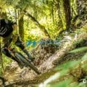 Mountain Bike Safety A Priority As Nelson’s Trails Are Audited