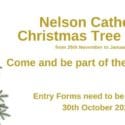 Come And Be Part Of Christmas Tree Festival At Nelson Cathedral