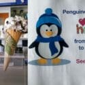 Penguino Closes For Winter