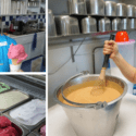Penguino Ice Cream Cafe – Let Your Taste Buds Do Backflips!