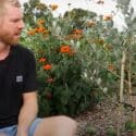 Feijoa Growing Tips And 1 Year Update – (Pineapple Guava)