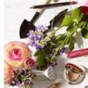 Jane Iredale Makeup Event At Our Woman Beauty Day Spa