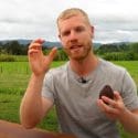 The BEST Way To Grow Avocado From Seed | 0 – 5 Months Of Growth