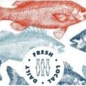 Great News The Shop Will Be Open Wednesday: Harry’s Fish Shop