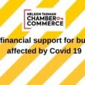 PETITION: We’re Calling On Government To Increase Financial Support For Businesses Affected By Covid 19: Nelson Tasman Chamber Of Commerce