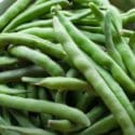 Growing Beans From Sowing To Harvest
