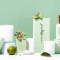 Exciting New Packaging, Colours And Fragrances Coming Soon: Living Light Nelson