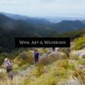 Wine, Art And Wilderness – Nelson Tours