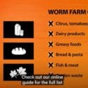 How To Set Up A Worm Farm | Mitre 10 Easy As Garden