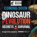 School Holiday Fun – Dinosaur Mask Making For Kids: Nelson Provincial Museum
