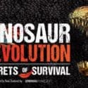 Dinosaur REvolution Exhibition, Gallary Update: Nelson Provincial Museum