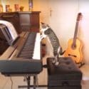 Funniest Cats ? – Don’t Try To Hold Back Laughter ? – Funny Cats Life