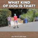 Dog DNA