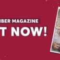 Our November Magazine Is Out: Health 2000 Nelson