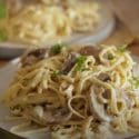 Creamy Mushroom Pasta, Ready In 15 Mins!