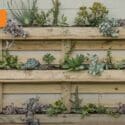How To Create A Pallet Garden | Mitre 10 Easy As Garden