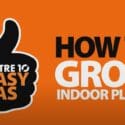 How To Grow Indoor Plants | Mitre 10 Easy As Garden