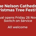 The Nelson Cathedral Christmas Tree Festival Opens Friday 26 Nov