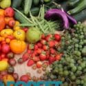 This Technique Of Tying Up Tomatoes Will Change Your Life