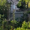 VERTICAL GARDENING TIPS & IDEAS: Why And How To Add VERTICAL SPACE To Your Garden For EVERY BUDGET