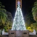 Spreading Festive Cheer: Nelson City Council