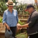 How To Grow The Best Kūmara (sweet Potato)