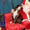 Santa’s Grotto Was Visited By An Extra Special Guest At The Elma Turner Library