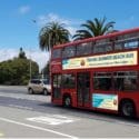 Ride The Summer Beach Bus: Tahuna Beach Holiday Park