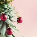 Unwrap Our Christmas Grab-A-Treat: Woman Day Spa