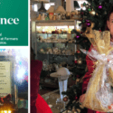 Eclectic’s Multi Purpose Window Display This Festive Season