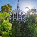 Cable Bay Adventure Park