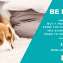 Be In To Win: The Flooring Room