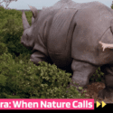 Ace Ventura – When Nature Calls: Giving Birth To Ace Ventura