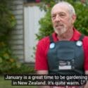Gardening In January: Bunnings Garden Diary