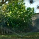 How To Create A Classic Low Maintenance Garden | Mitre 10 Easy As