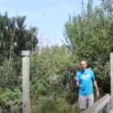 What Happens When You Use Coffee Grounds In The Garden?