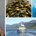 Rebecca Clarkson – Putting The Mussel Into Aquaculture