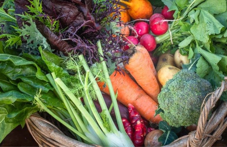 Nelson Farmers Marker Wednesday 4 768x499