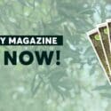 February Magazine Out Now!: Health 2000