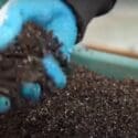 February Gardening Checklist – 10 Tips To Help Get Your Organic Garden Ready For Spring