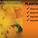 February Garden Checklist | Mitre 10 Easy As Garden
