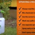 How To Protect Plants From Pests & Diseases | Mitre 10 Easy As Garden