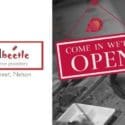 Happy To Report The Door Is Open And We’re Back On The Bench: Jewel Beetle