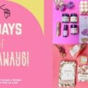 14 Days Of Givewaways: Little Beehive Co-op