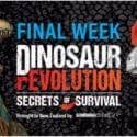 Final Week – Dinosaur REvolution Exhibition: Nelson Provincial Museum