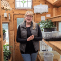 Sweet Pea Flowers: Seed Starting Tips