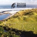 A Scenic Odyssey Captured In Prints: Nelson Provincial Museum