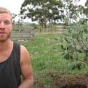 How To Grow Feijoas – Planting And Care Guide